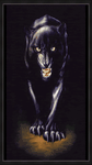 pic for black panth